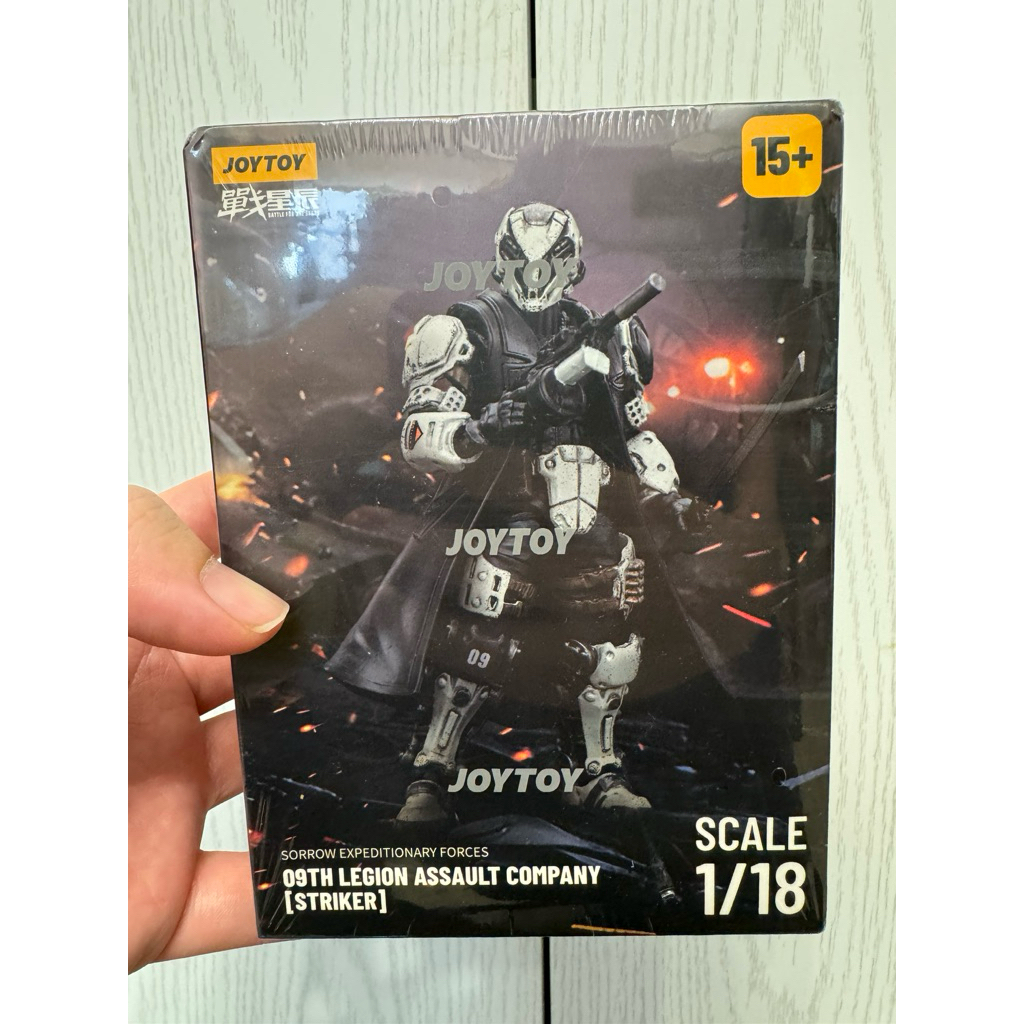 Sorrow Expeditionary Forces 09th Legion Assault Company-Striker - main product image