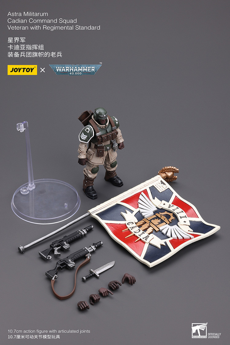 星界軍 卡迪亞指揮組 裝備兵團旗幟的老兵 - 商品詳情 9