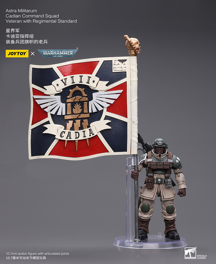 星界軍 卡迪亞指揮組 裝備兵團旗幟的老兵 - 商品詳情 6