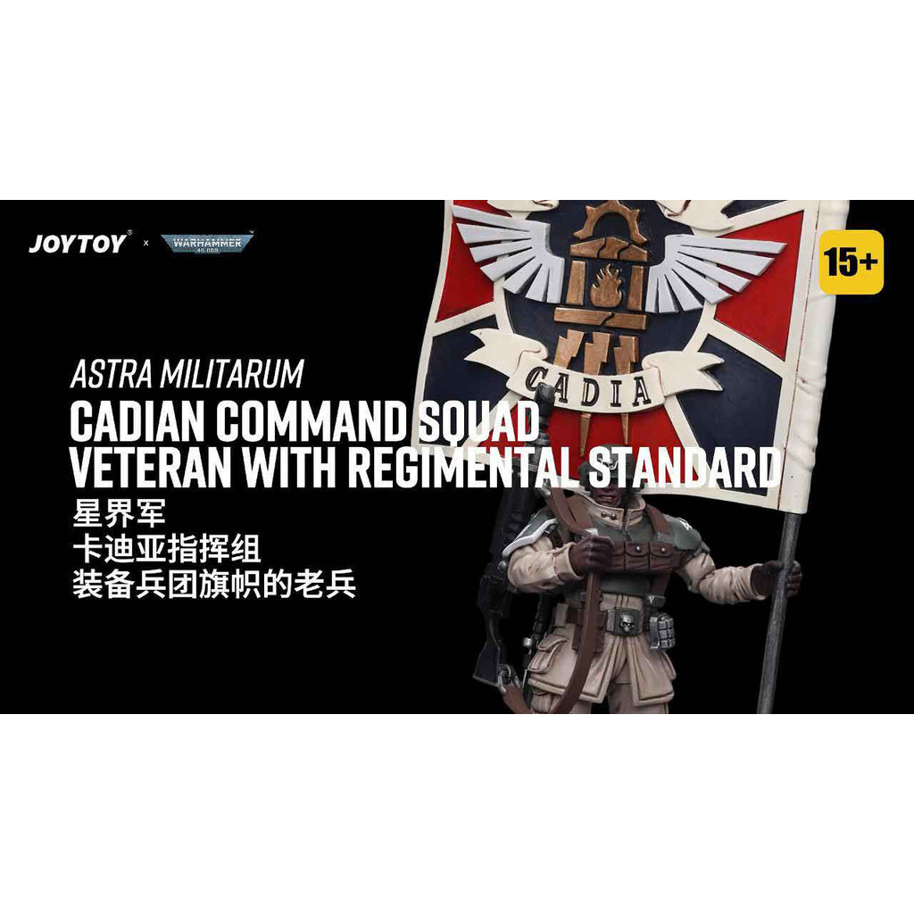 Astra Militarum Cadian Command Squad Veteran with Regimental Standard - view 8