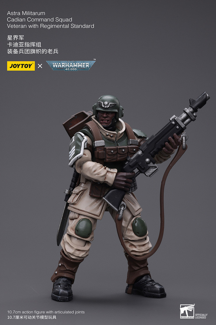 星界軍 卡迪亞指揮組 裝備兵團旗幟的老兵 - 商品詳情 10