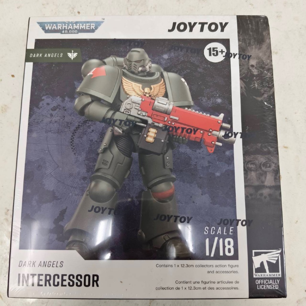 Dark Angels Intercessor with Bolt Rifle, Bolt Pistol and Chainsword - main product image