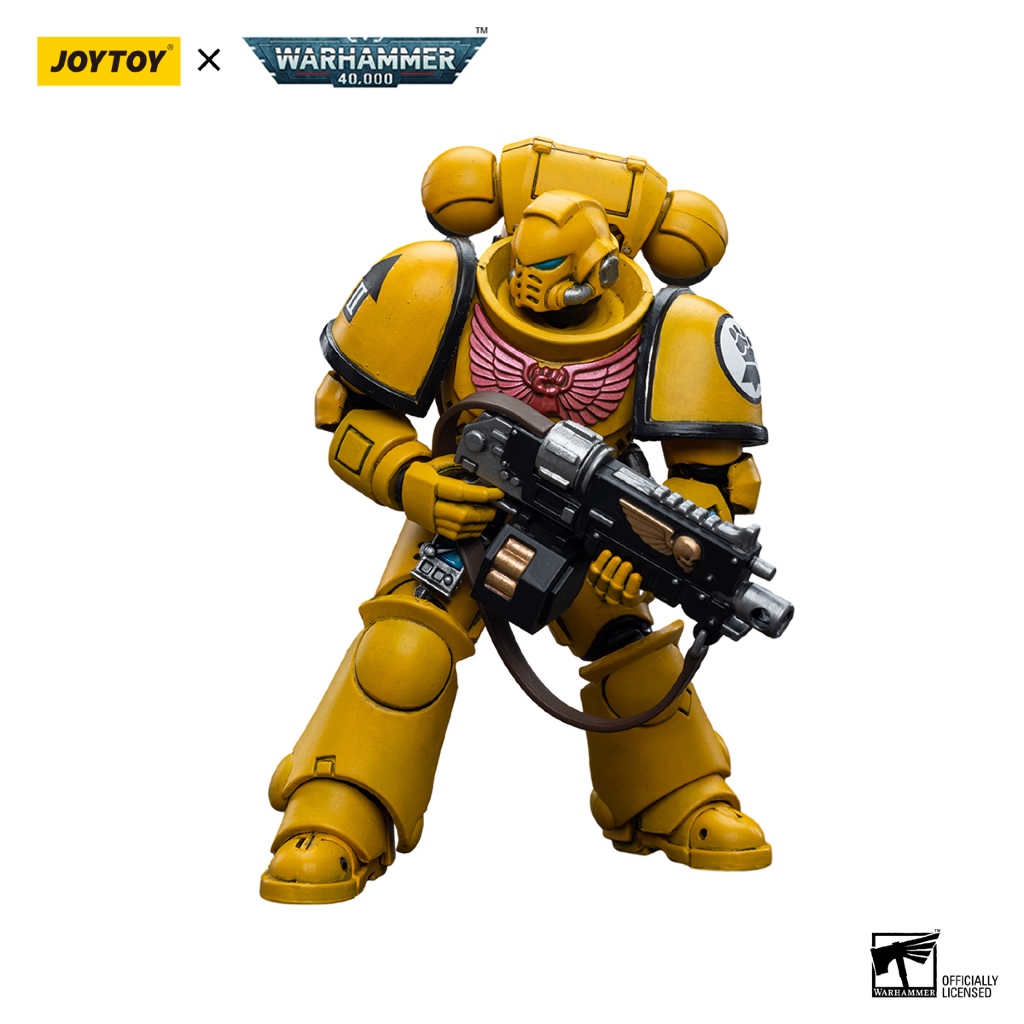 Imperial Fists Intercessors - view 4