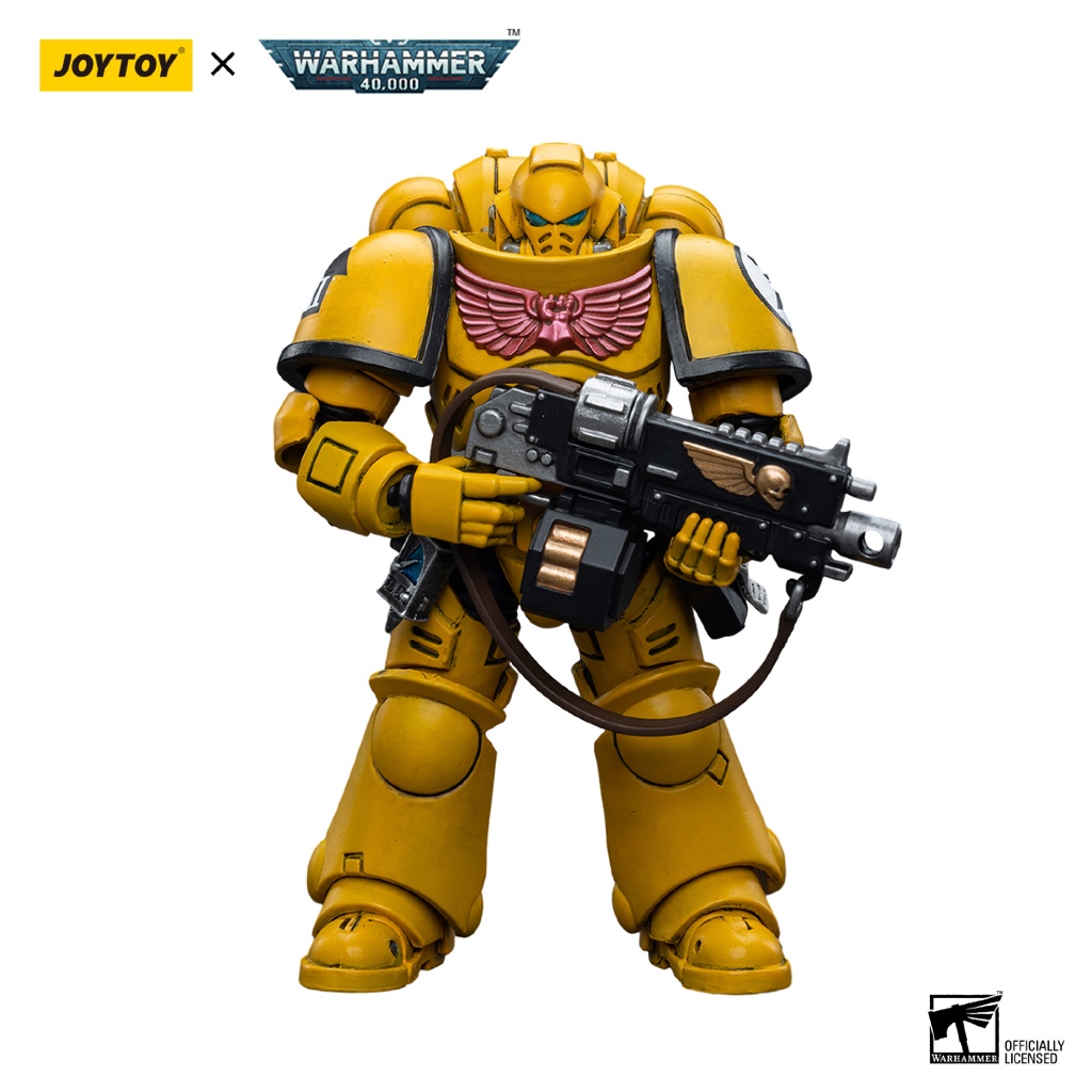 Imperial Fists Intercessors - view 5