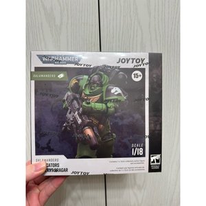 Salamanders Eradicators Sergeant Bragar - Premium action figure - $0.00