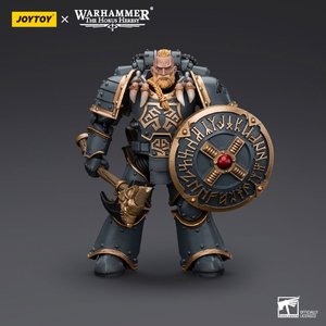 Space Wolves Grey Slayer Pack Grey Slayer 1 - Premium action figure - $0.00